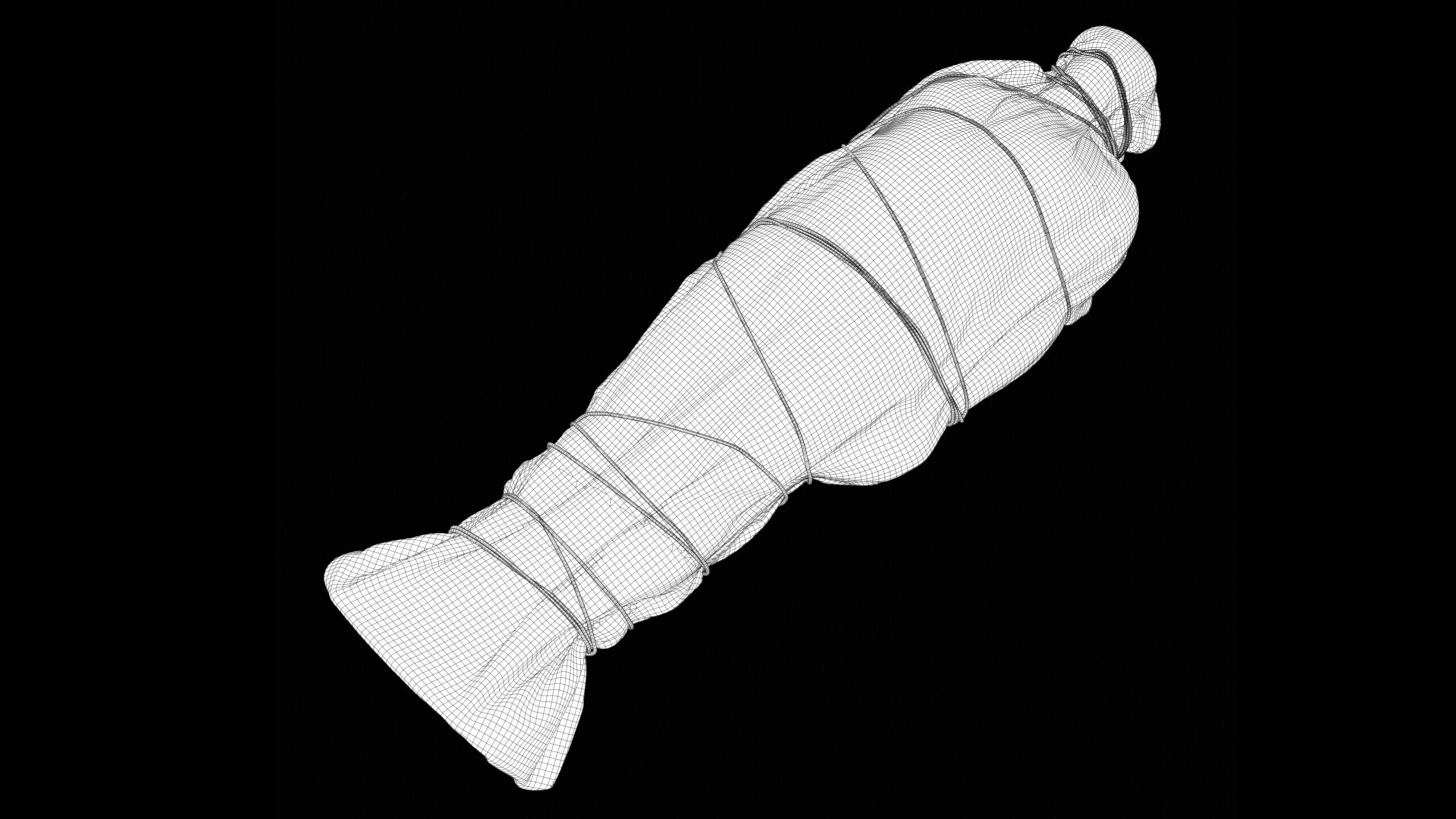 Covered Corpse 09 Low-Poly Low-poly 3D model_19