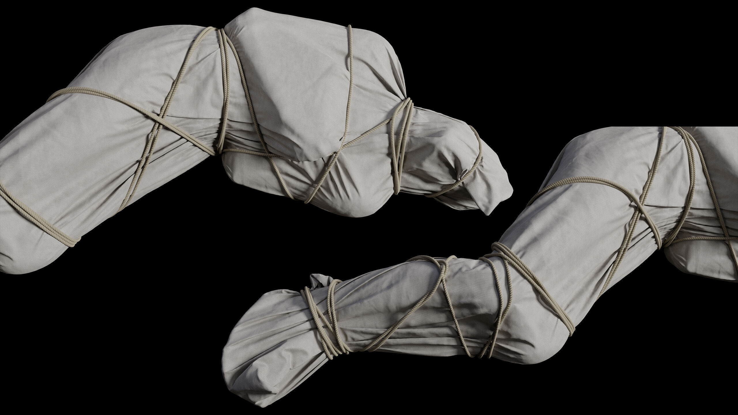 Covered Corpse 11 Low-Poly Low-poly 3D model_4