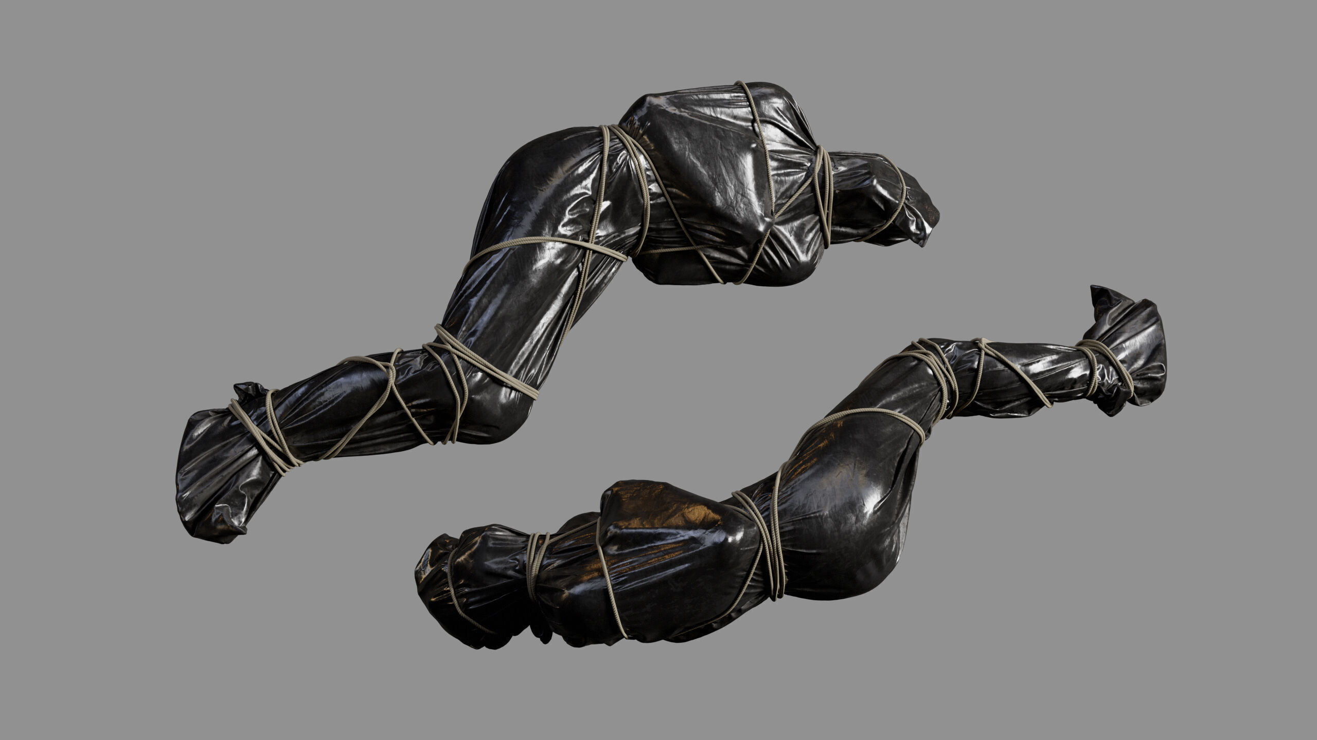 Covered Corpse 11 Low-Poly Low-poly 3D model_13