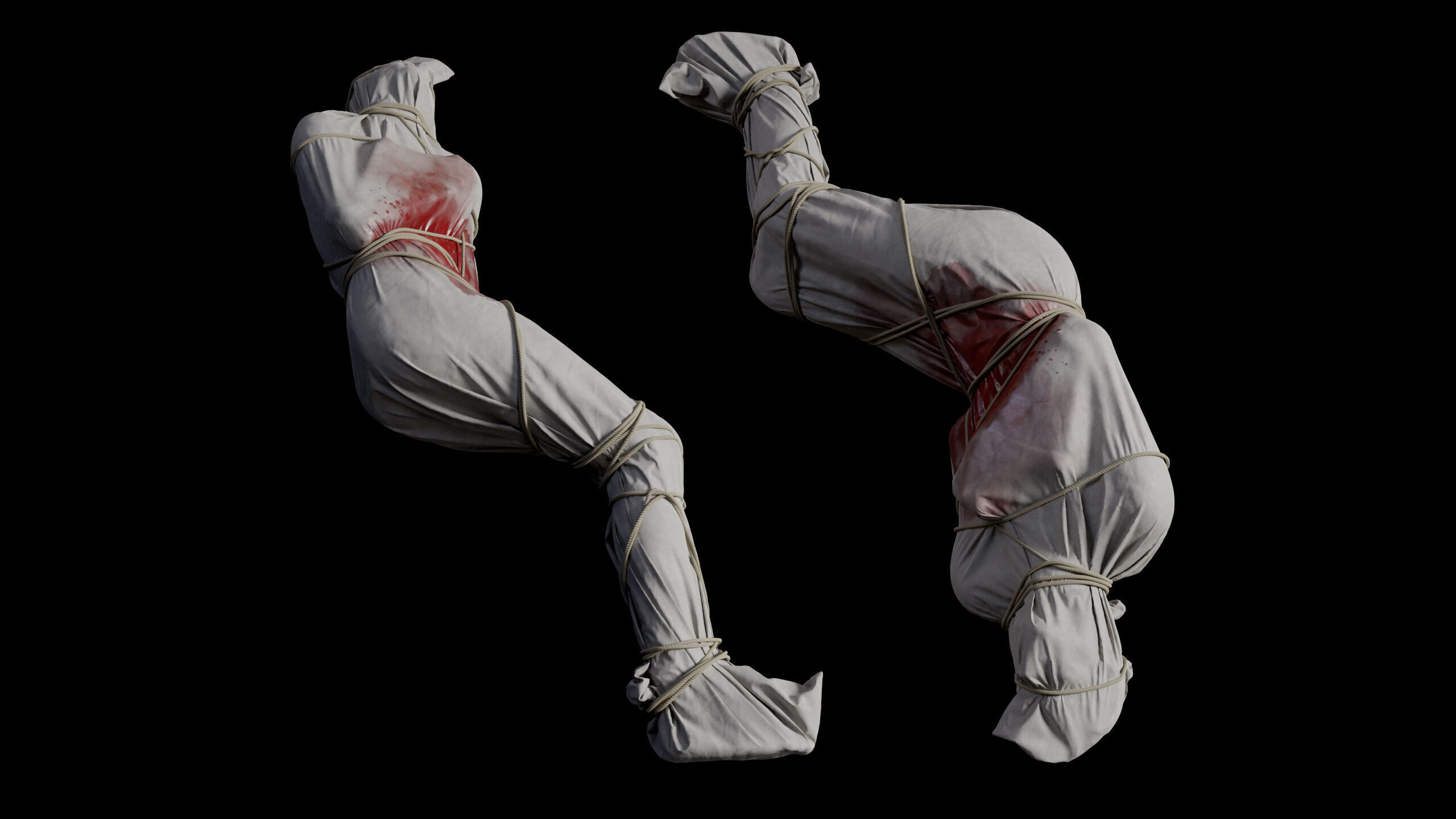 Covered Corpse 11 Low-Poly Low-poly 3D model_10