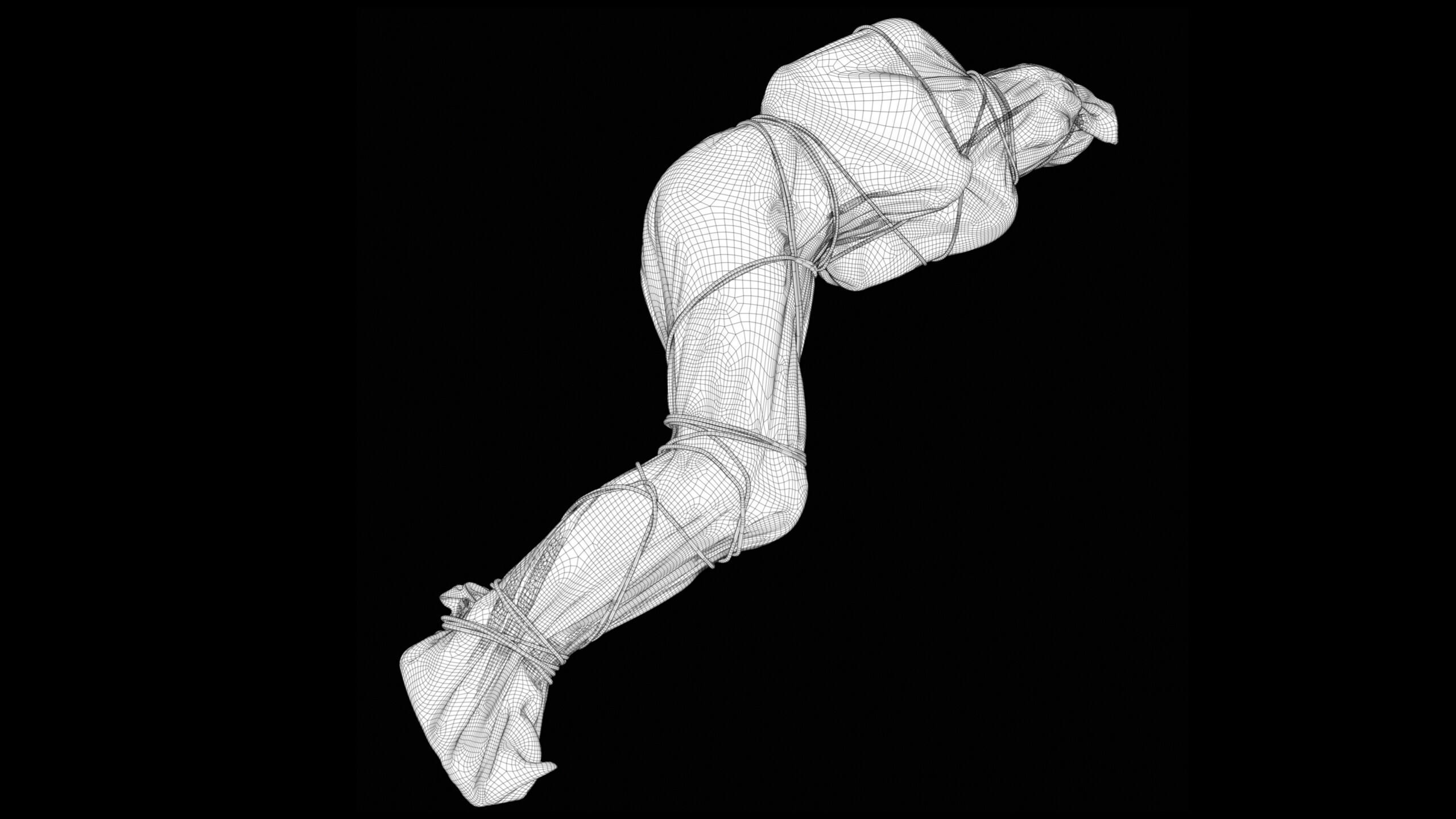 Covered Corpse 11 Low-Poly Low-poly 3D model_18