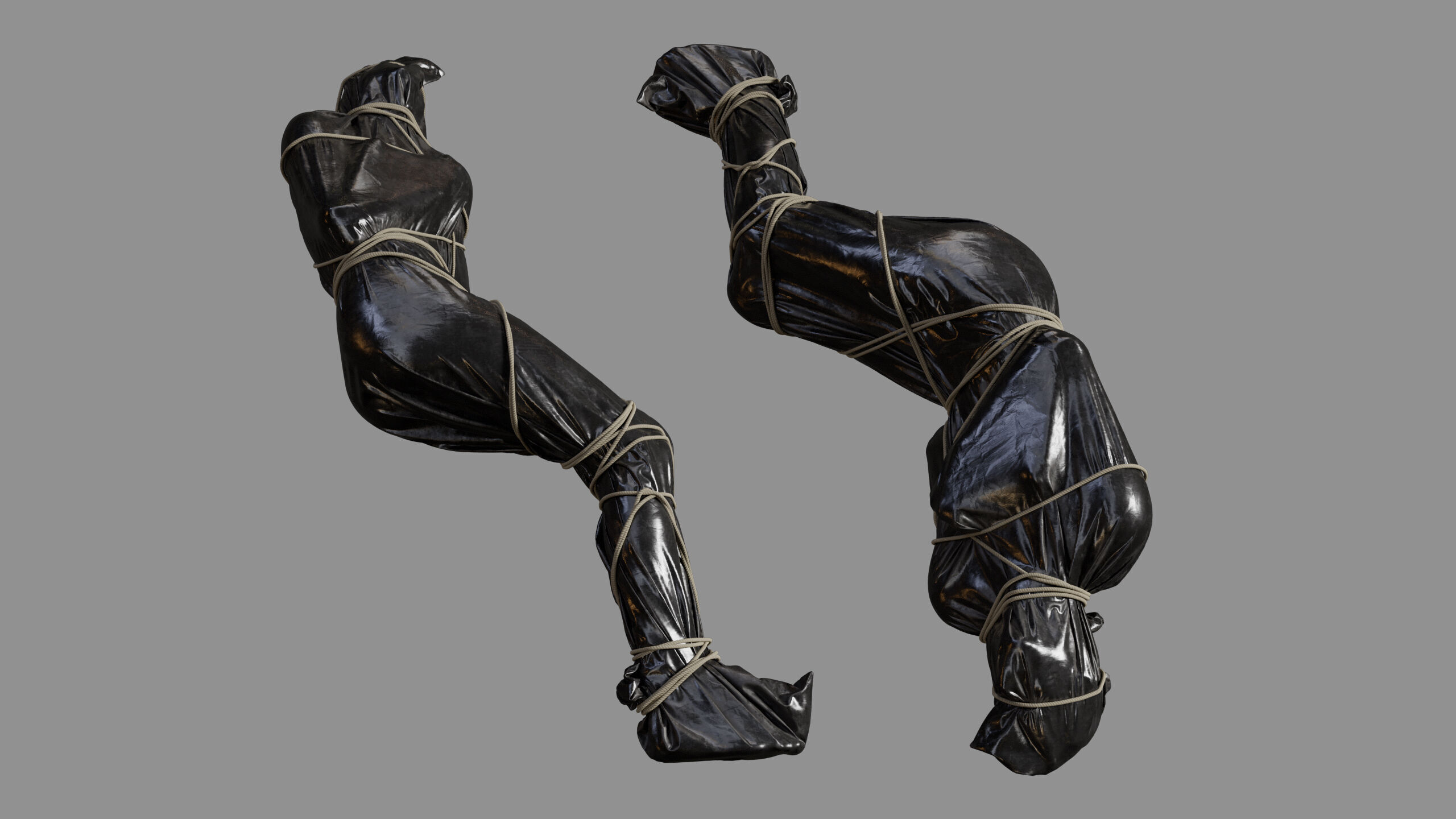 Covered Corpse 11 Low-Poly Low-poly 3D model_14