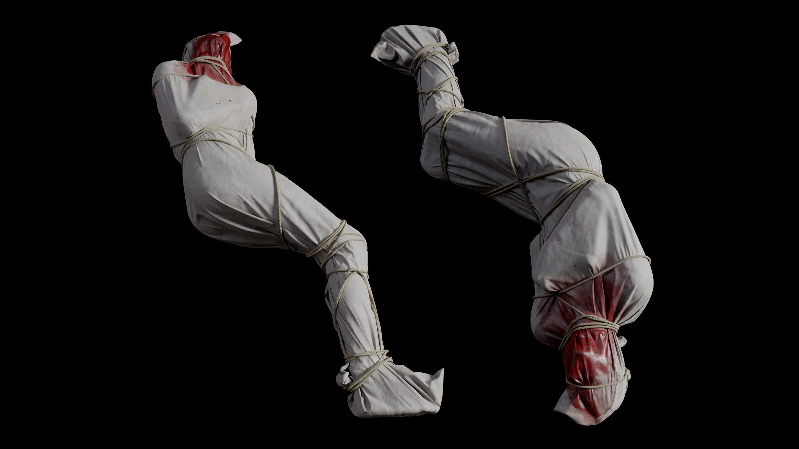 Covered Corpse 11 Low-Poly Low-poly 3D model_6