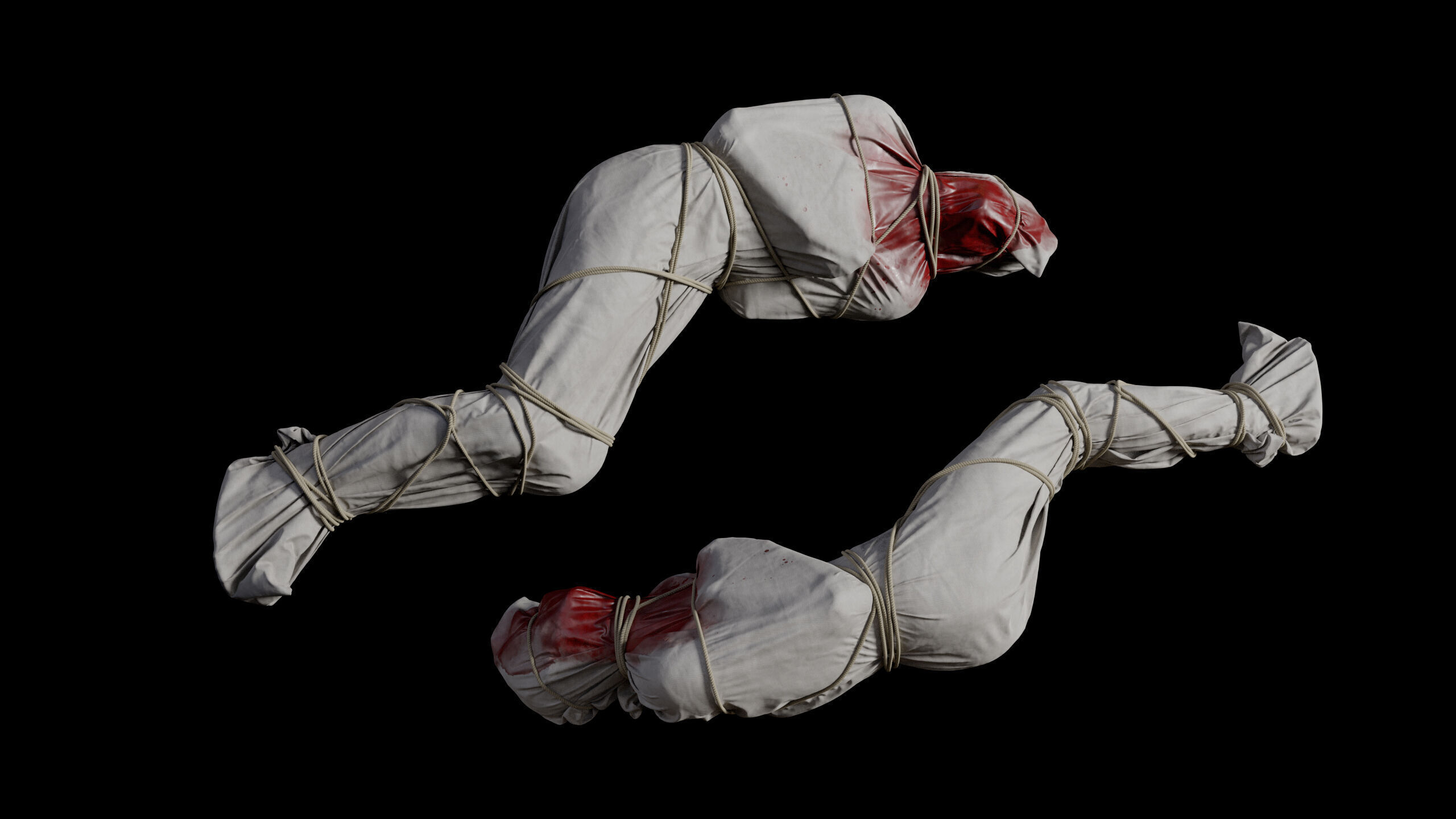 Covered Corpse 11 Low-Poly Low-poly 3D model_5