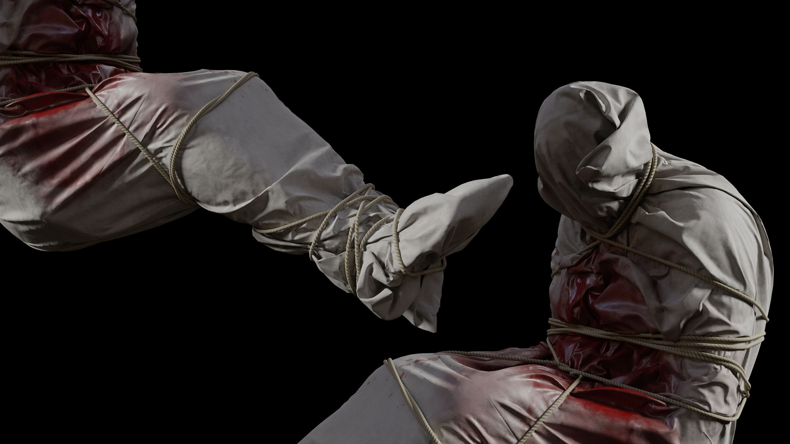 Covered Corpse 12 Low-Poly Low-poly 3D model_12