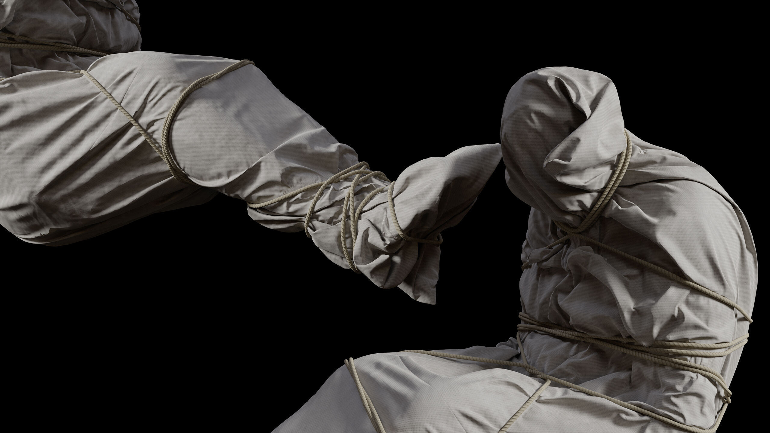 Covered Corpse 12 Low-Poly Low-poly 3D model_4