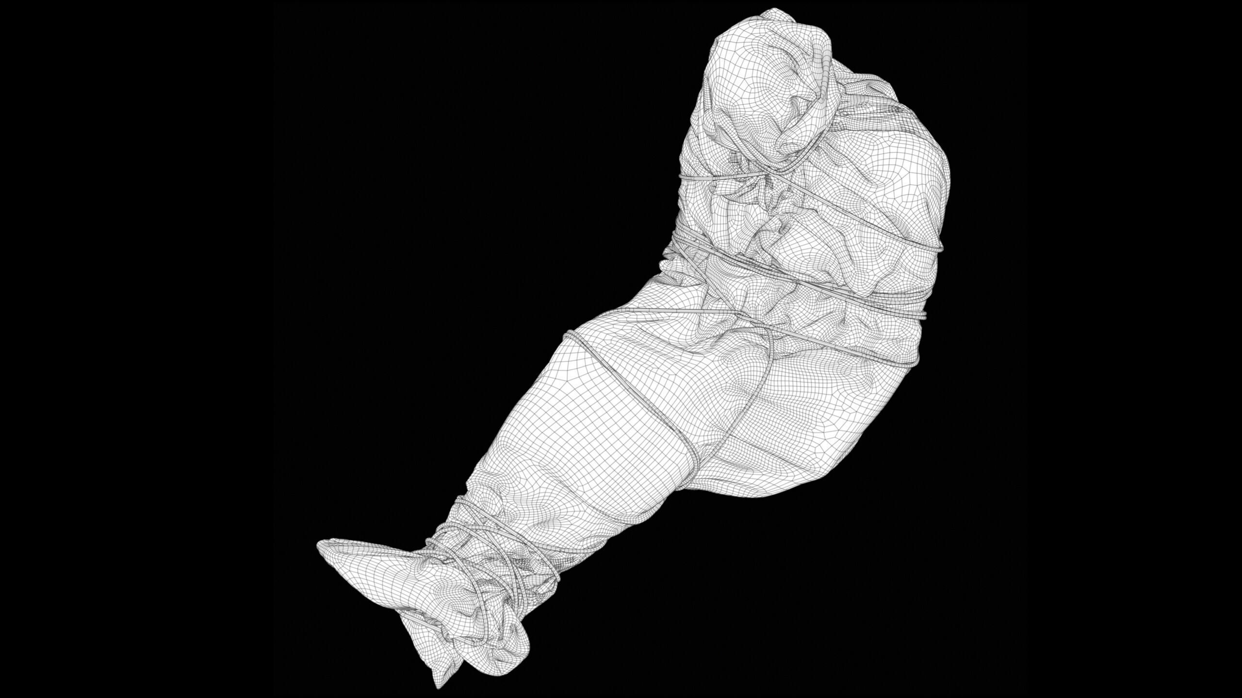 Covered Corpse 12 Low-Poly Low-poly 3D model_19