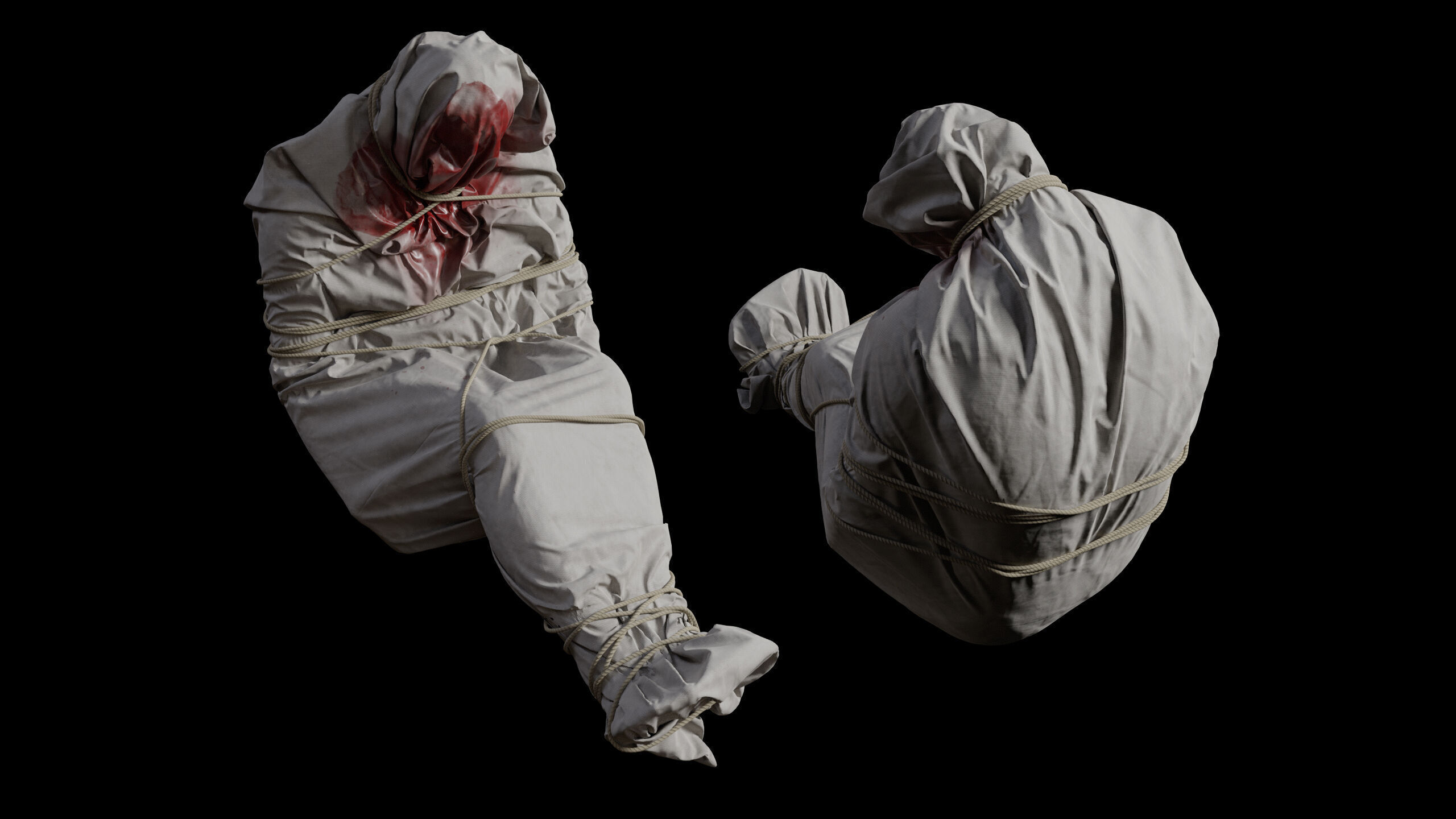 Covered Corpse 12 Low-Poly Low-poly 3D model_7