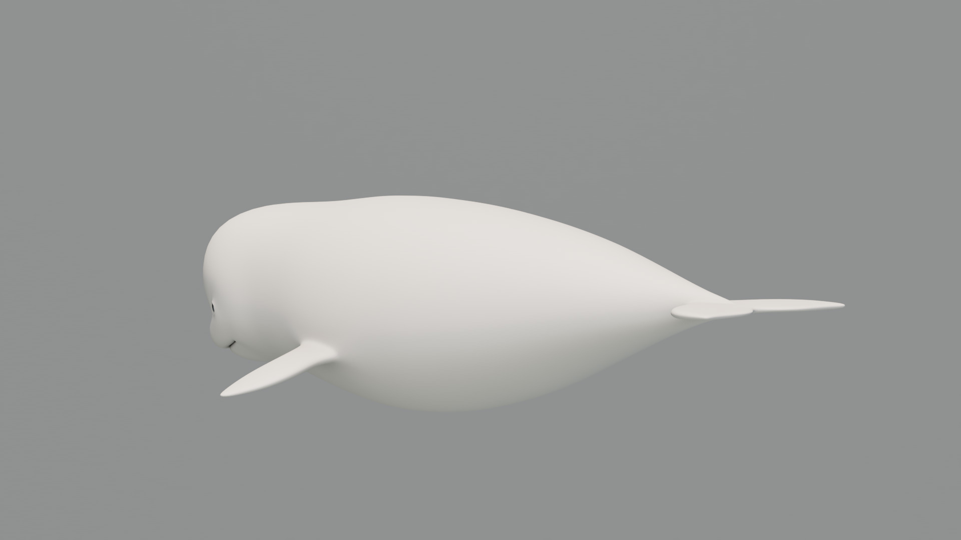 Rigged Cartoon Beluga Whale 3D model_4