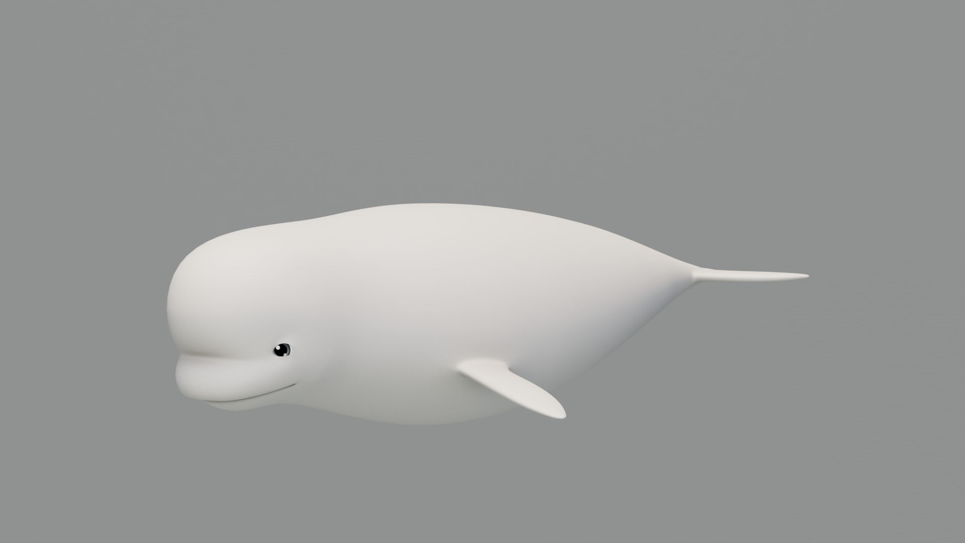 Rigged Cartoon Beluga Whale 3D model_2