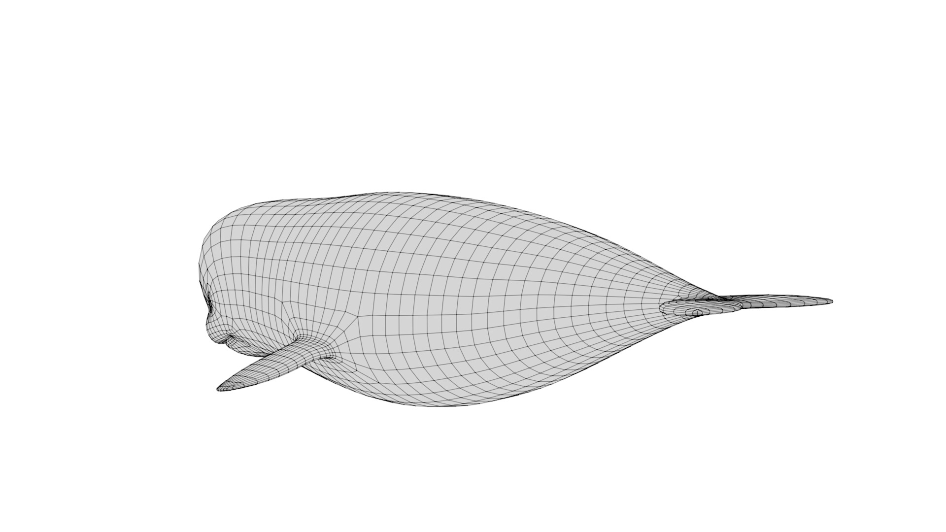 Rigged Cartoon Beluga Whale 3D model_9