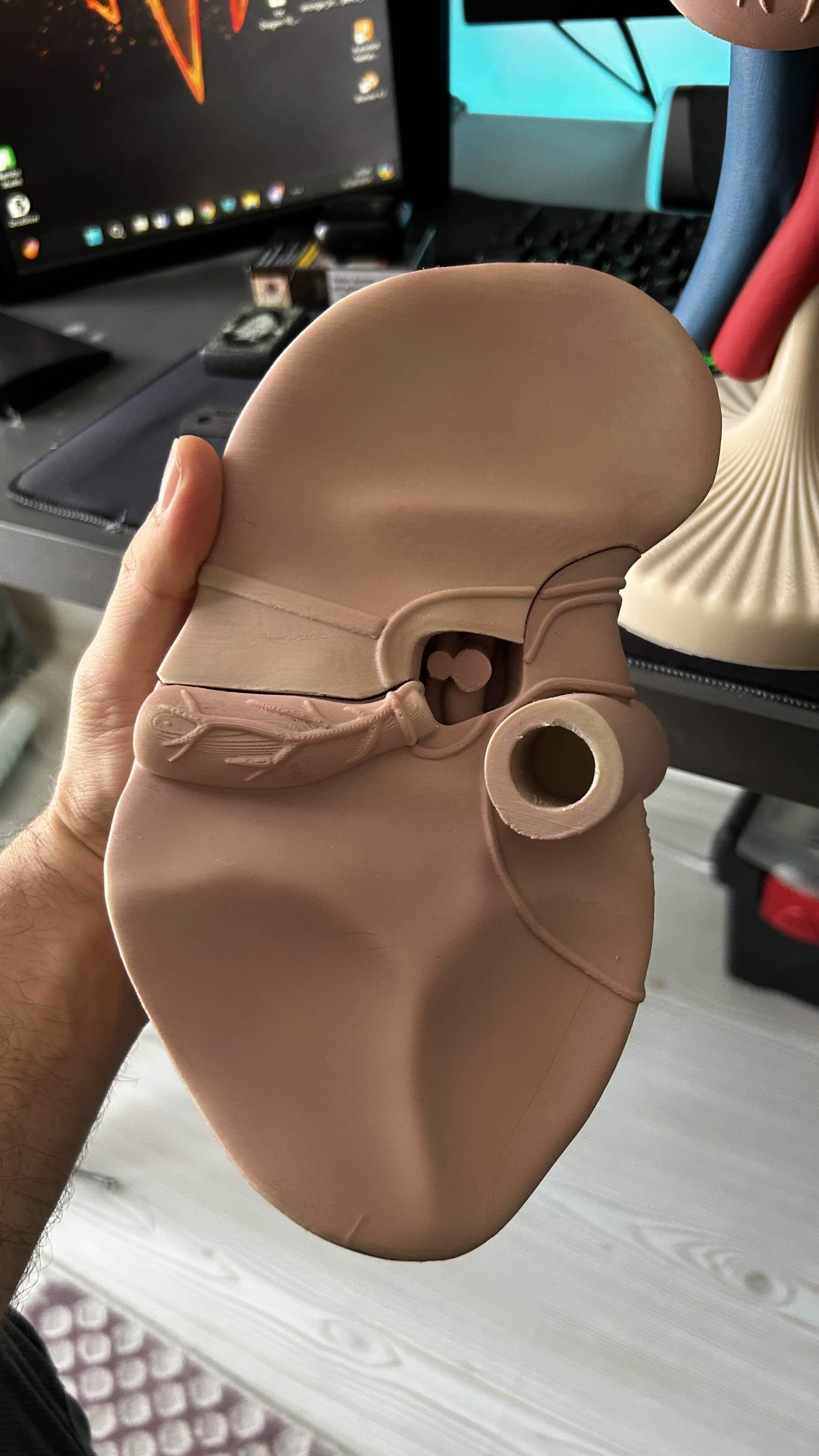 liver pancreas anatomy model 3D STL 3D print model_3