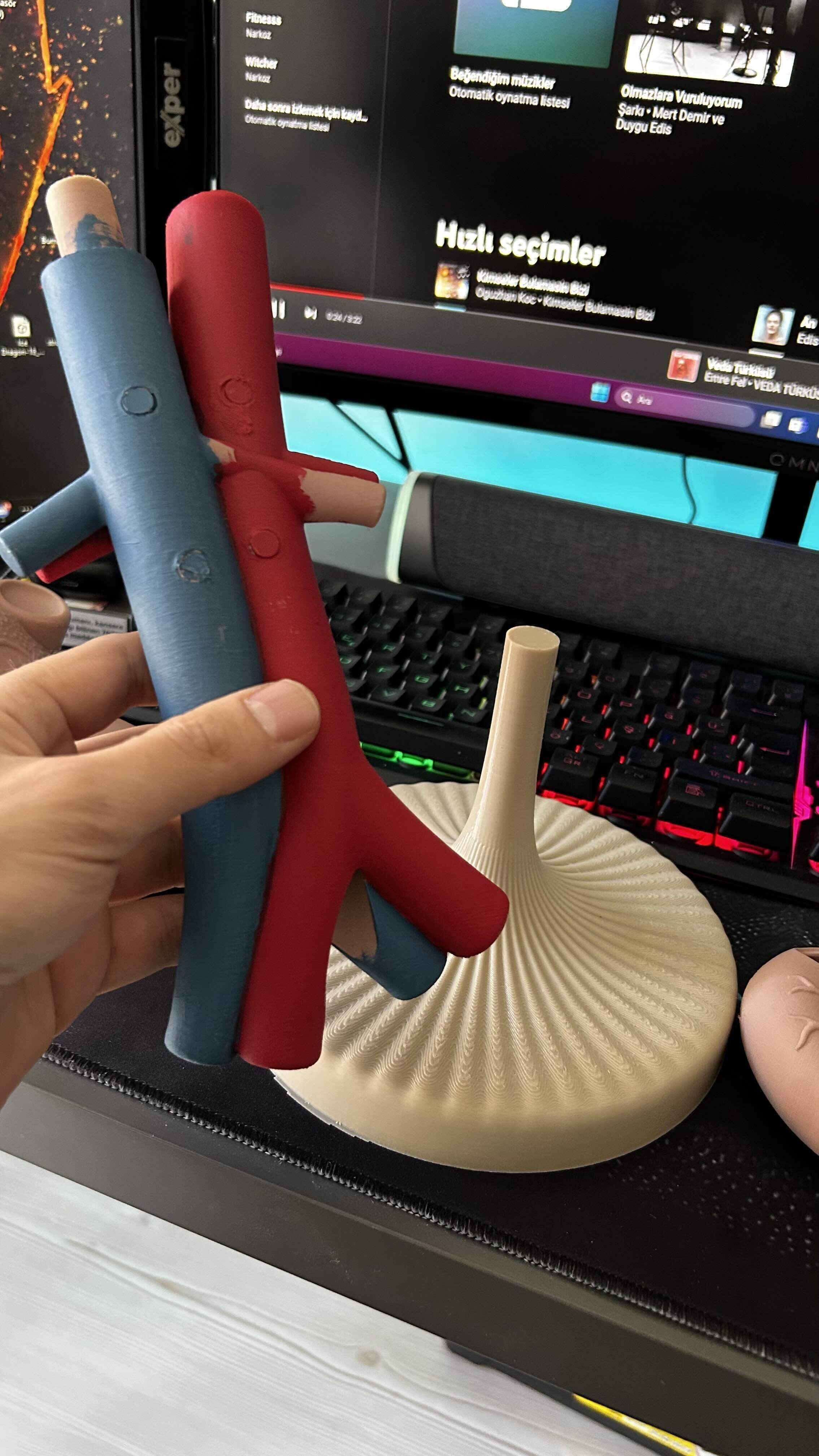 liver pancreas anatomy model 3D STL 3D print model_6