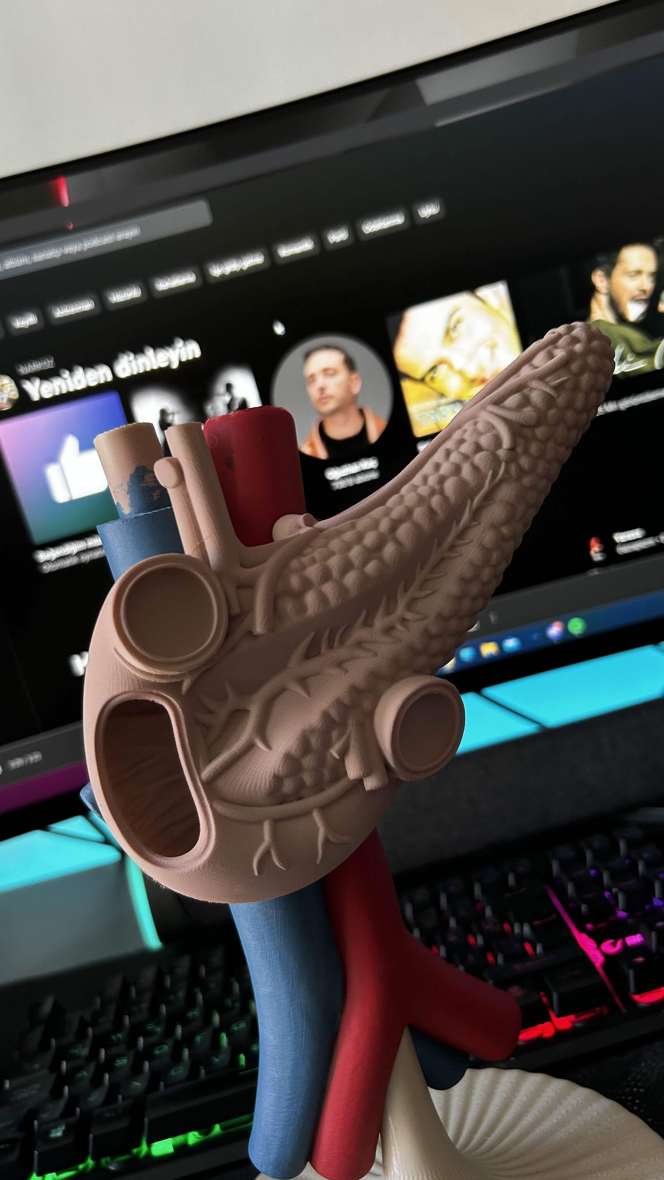 liver pancreas anatomy model 3D STL 3D print model_4