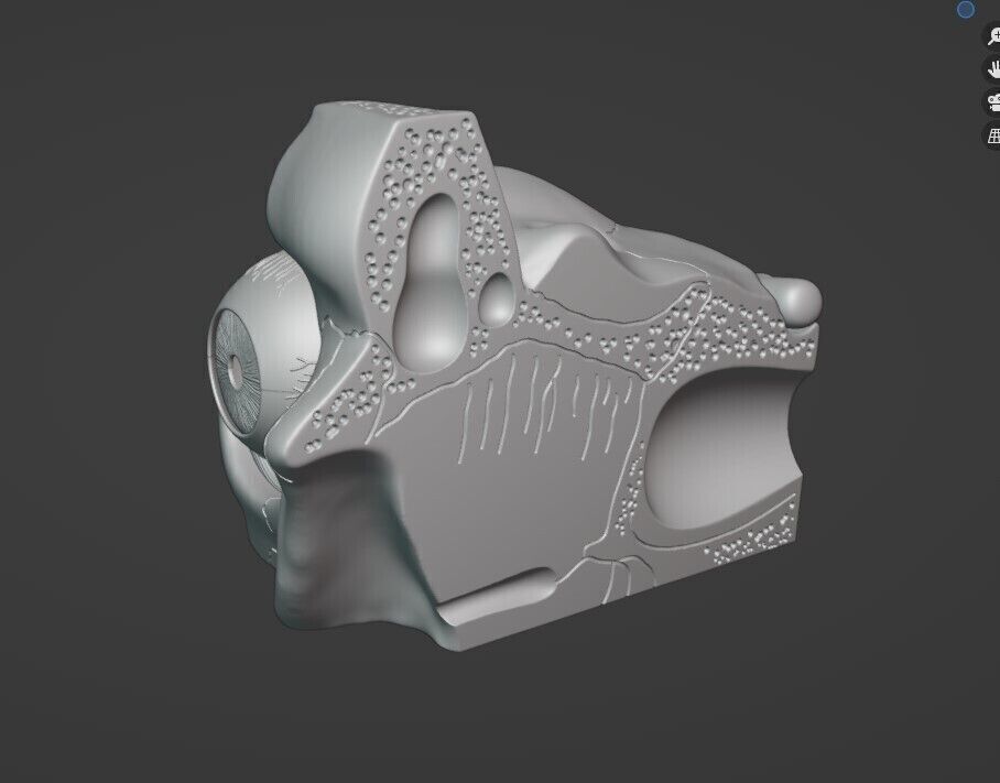 Eyes Anatomy Model 3D print model_1