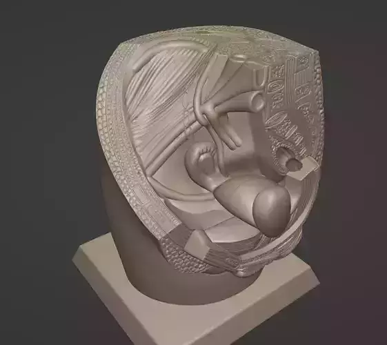 Female pelvis anatomy STL print model