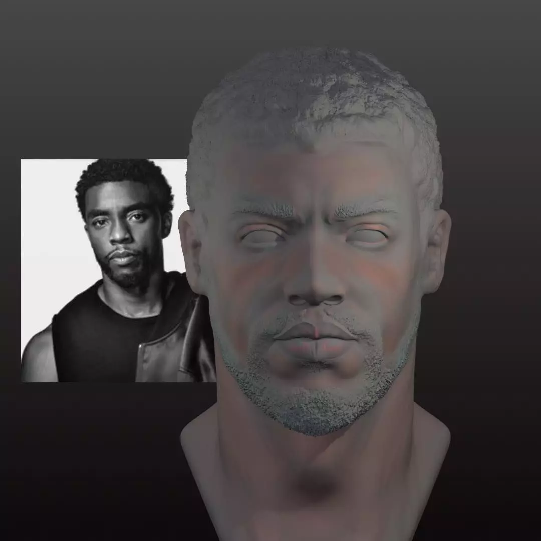 Chadwick Boseman 3D Head Bust Black Panther 3D print model