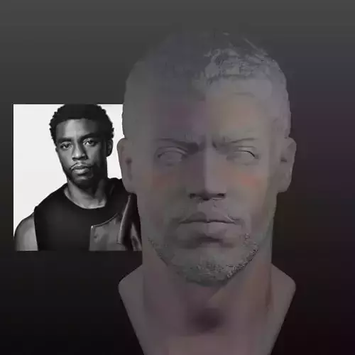 Chadwick Boseman 3D Head Bust  Black Panther 