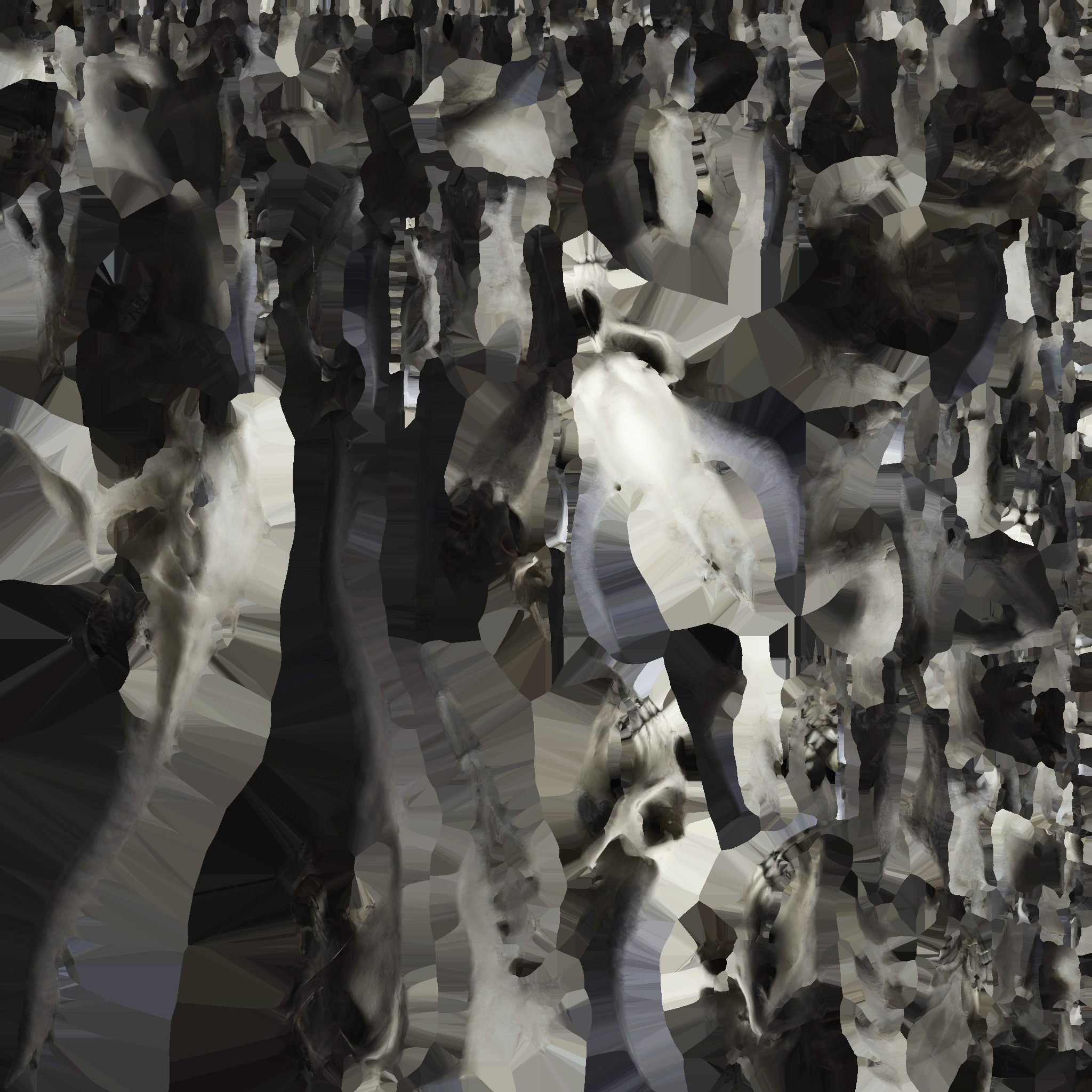 3d Model Skull Monsters And Zombies 3D model_9