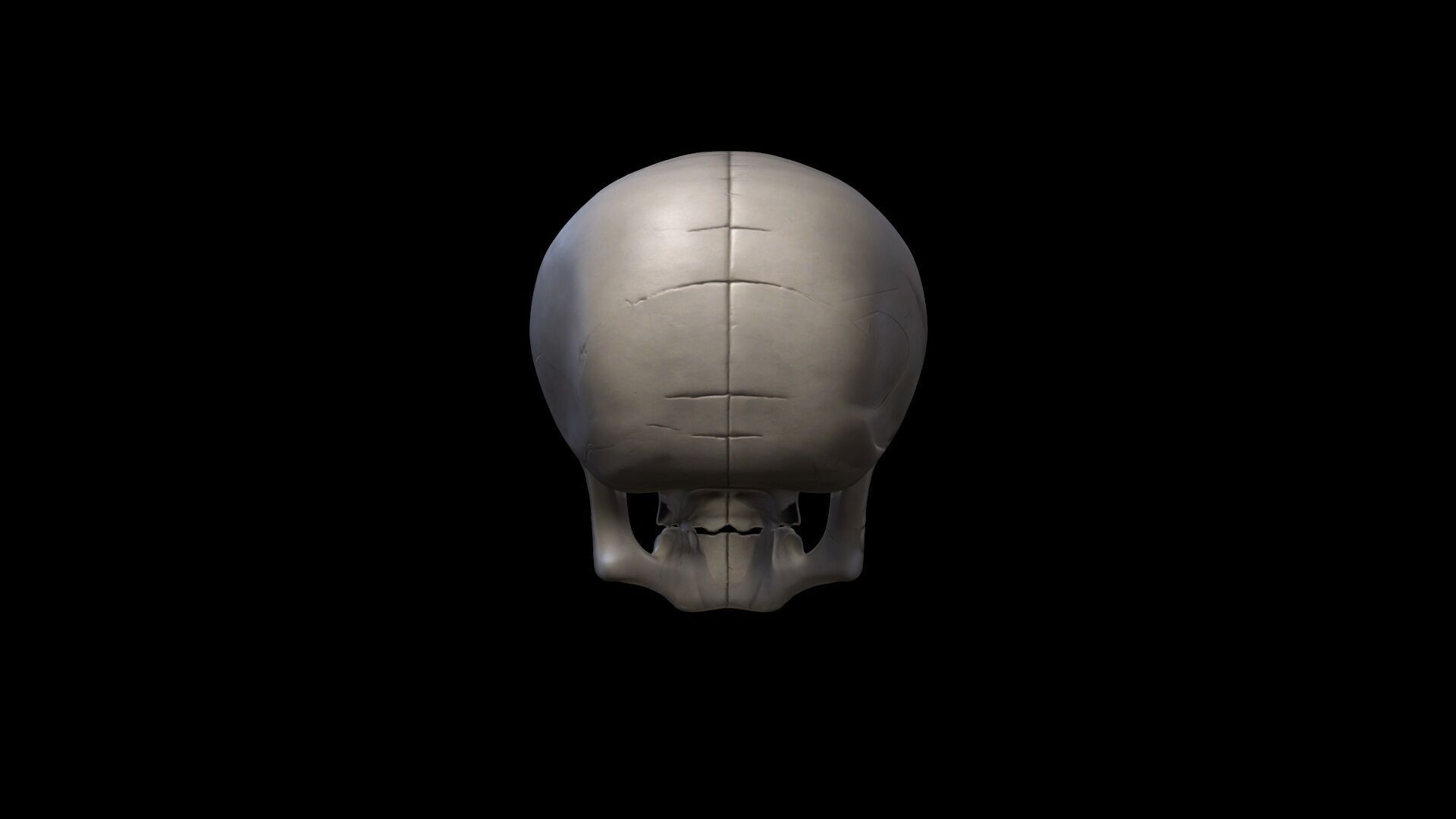 3d Model Skull Mask Human Head 3D model_5