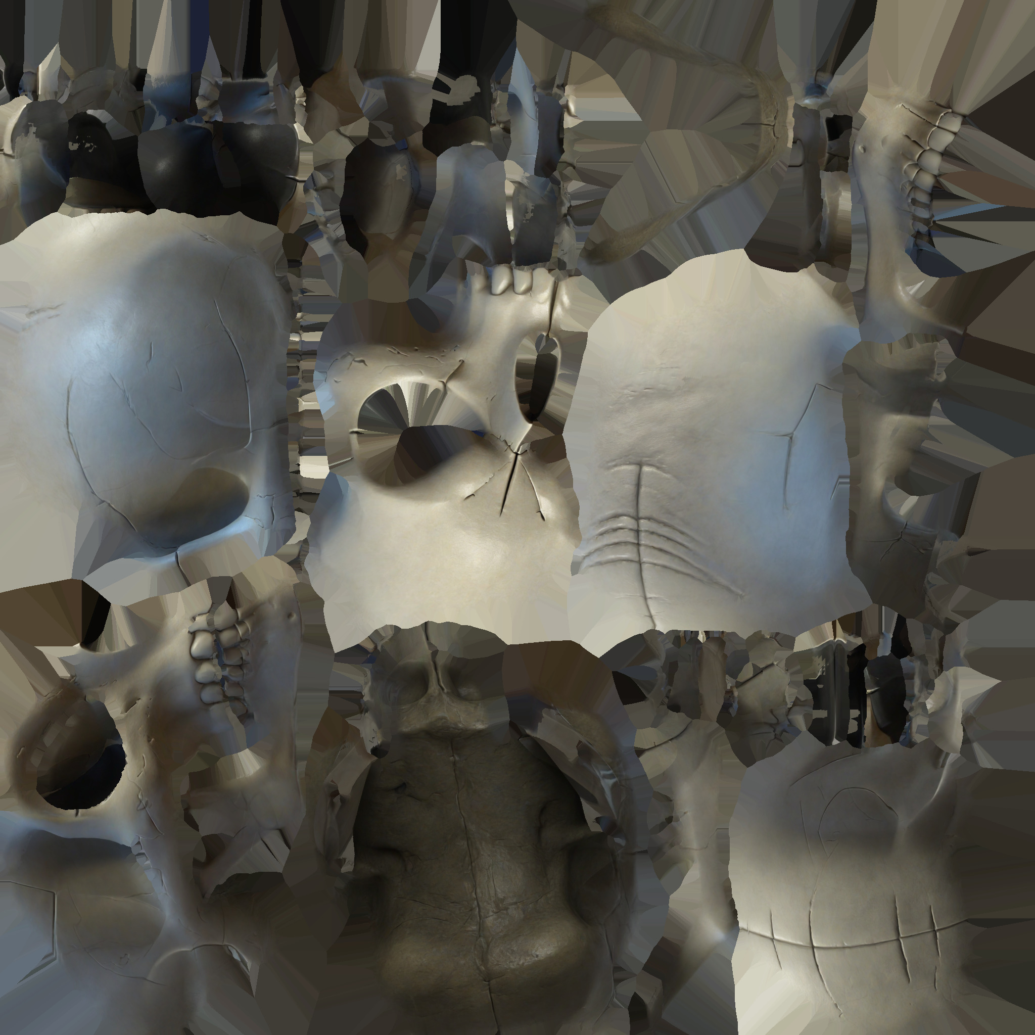 3d Model Skull Mask Human Head 3D model_8