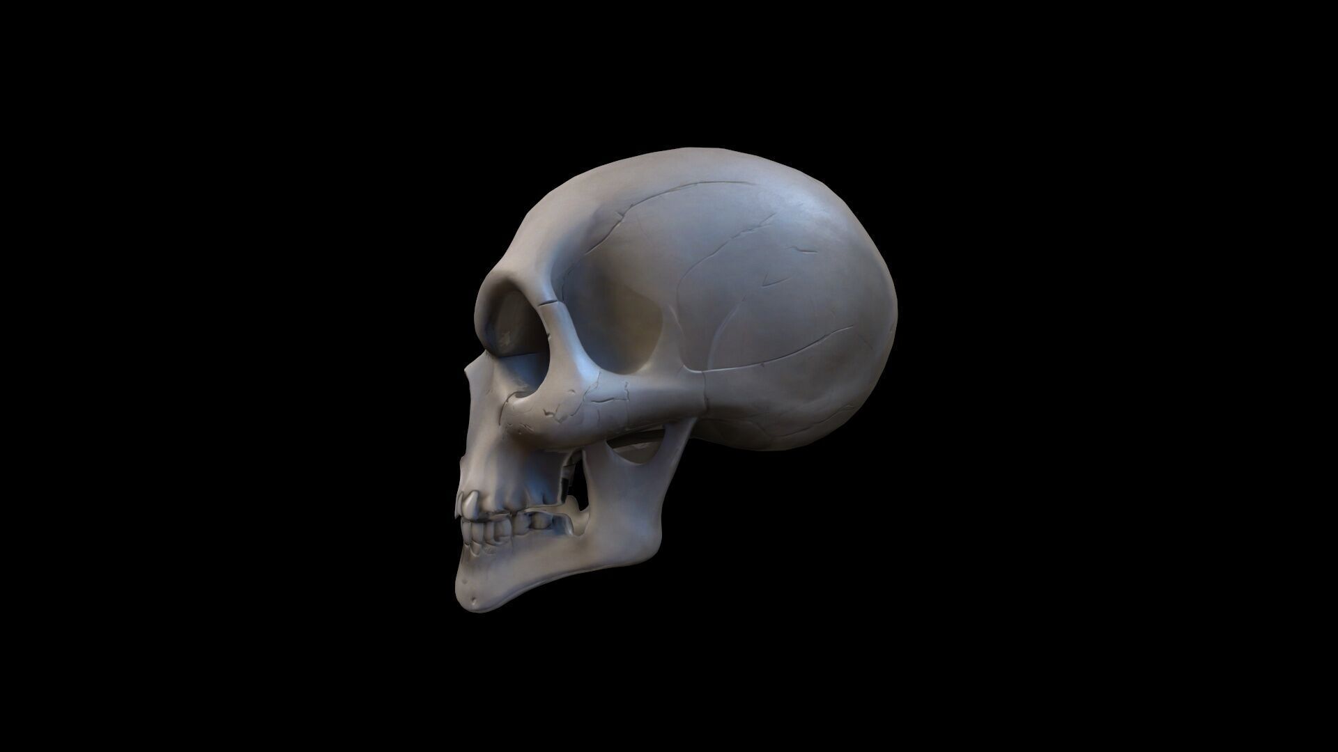 3d Model Skull Mask Human Head 3D model_2
