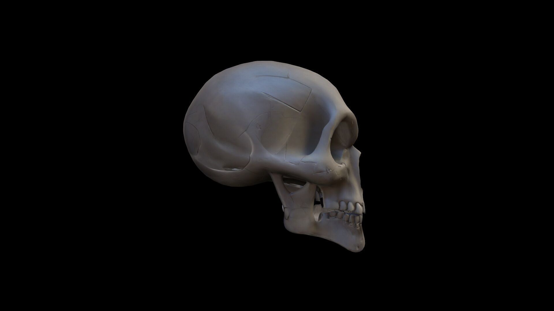 3d Model Skull Mask Human Head 3D model_3