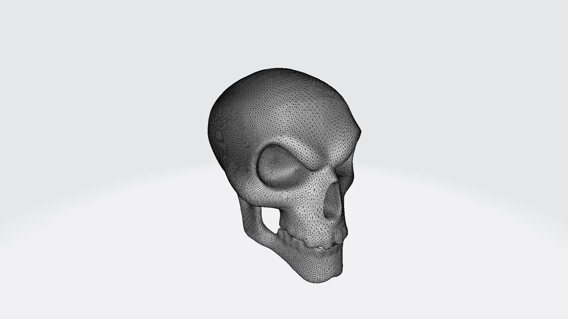 3d Model Skull Mask Human Head 3D model_6