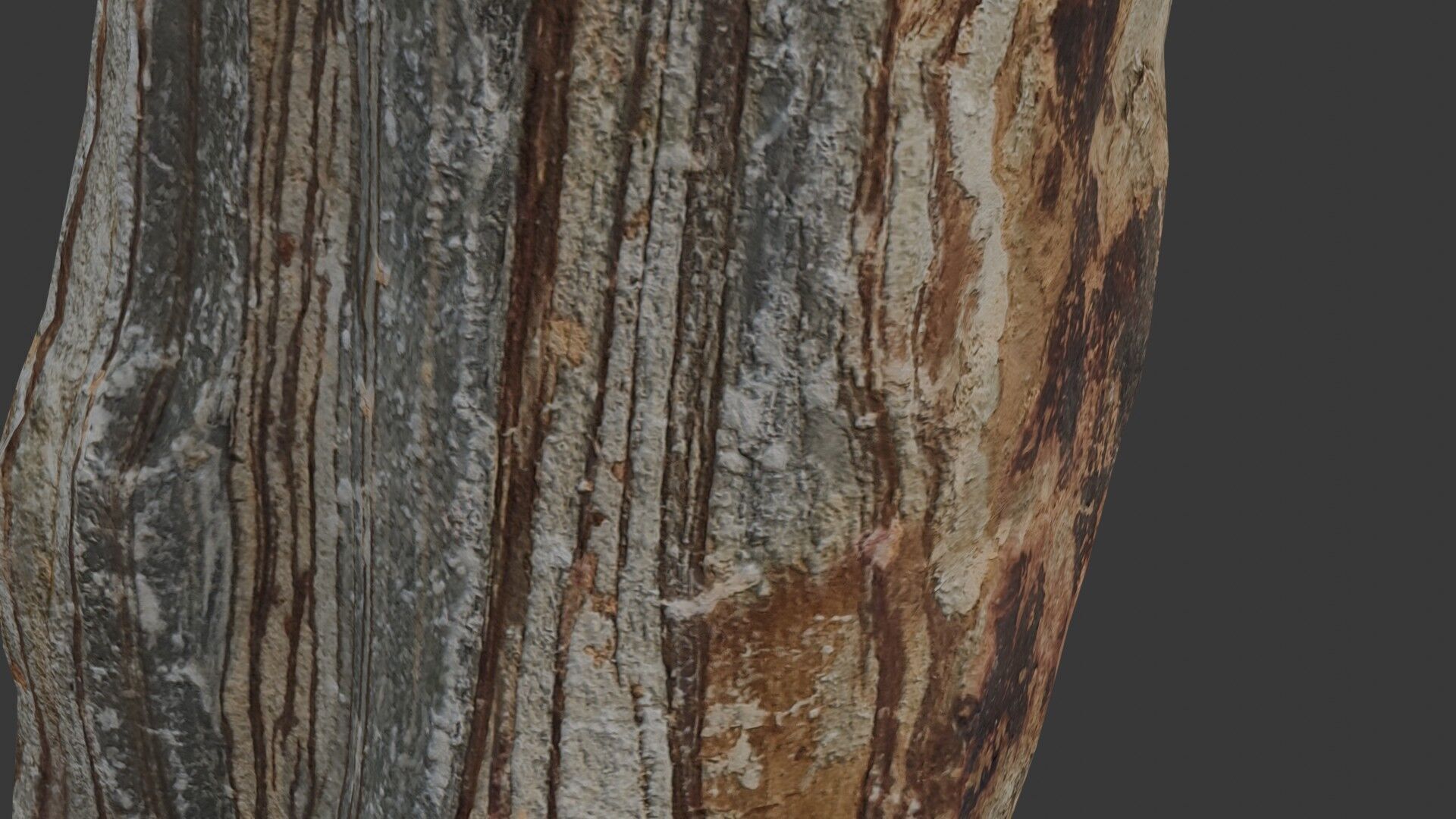 Striped Rock Scan Low-poly 3D model_3