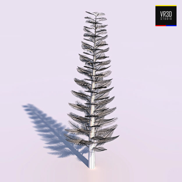 Pine Tree  3D model_1