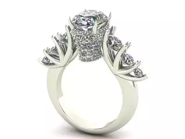 Engagement Ring With Oval and Rounded Diamonds 