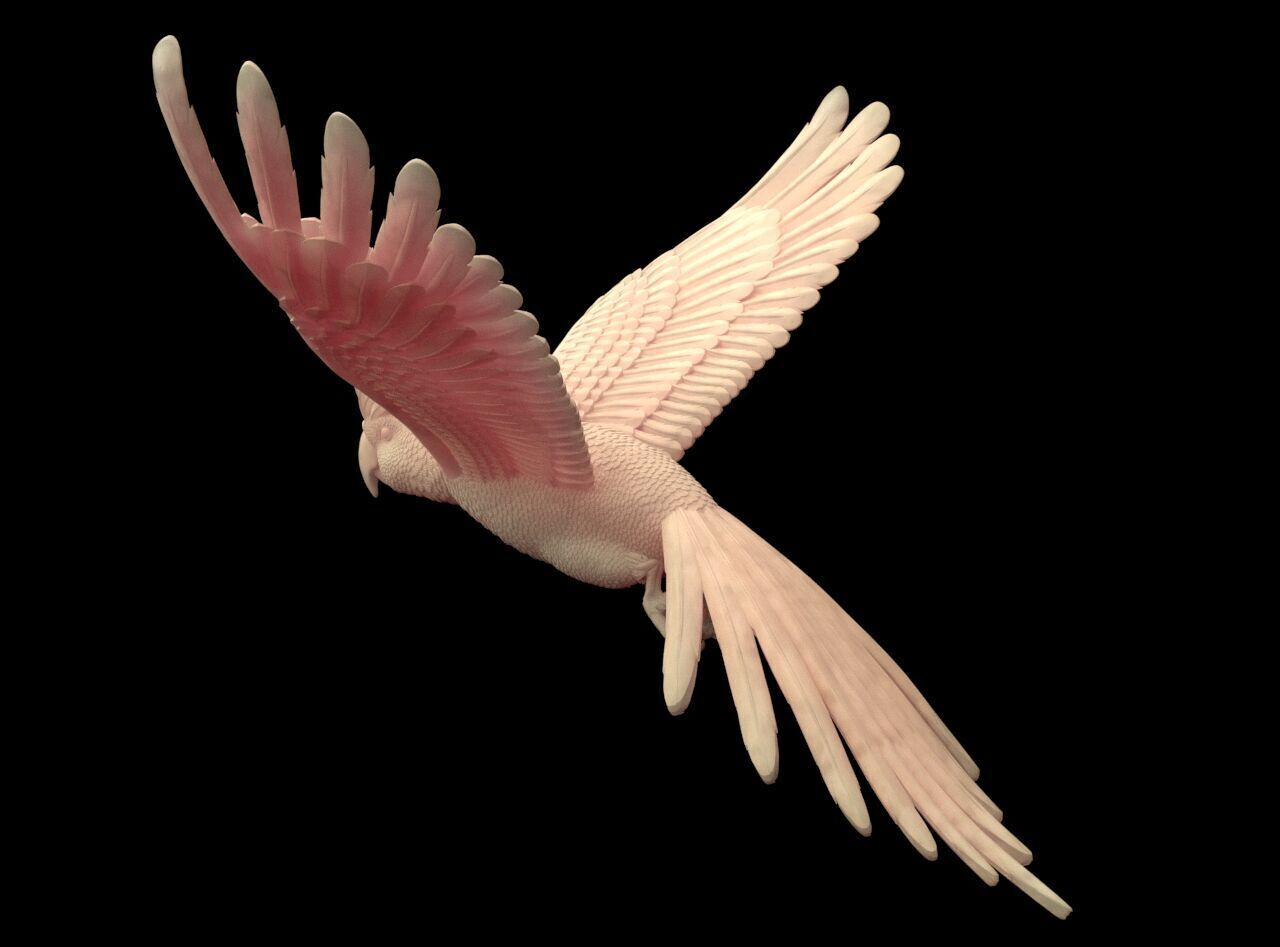 parrot sculpture 3D print model_16