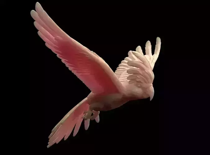 parrot sculpture 3D print model