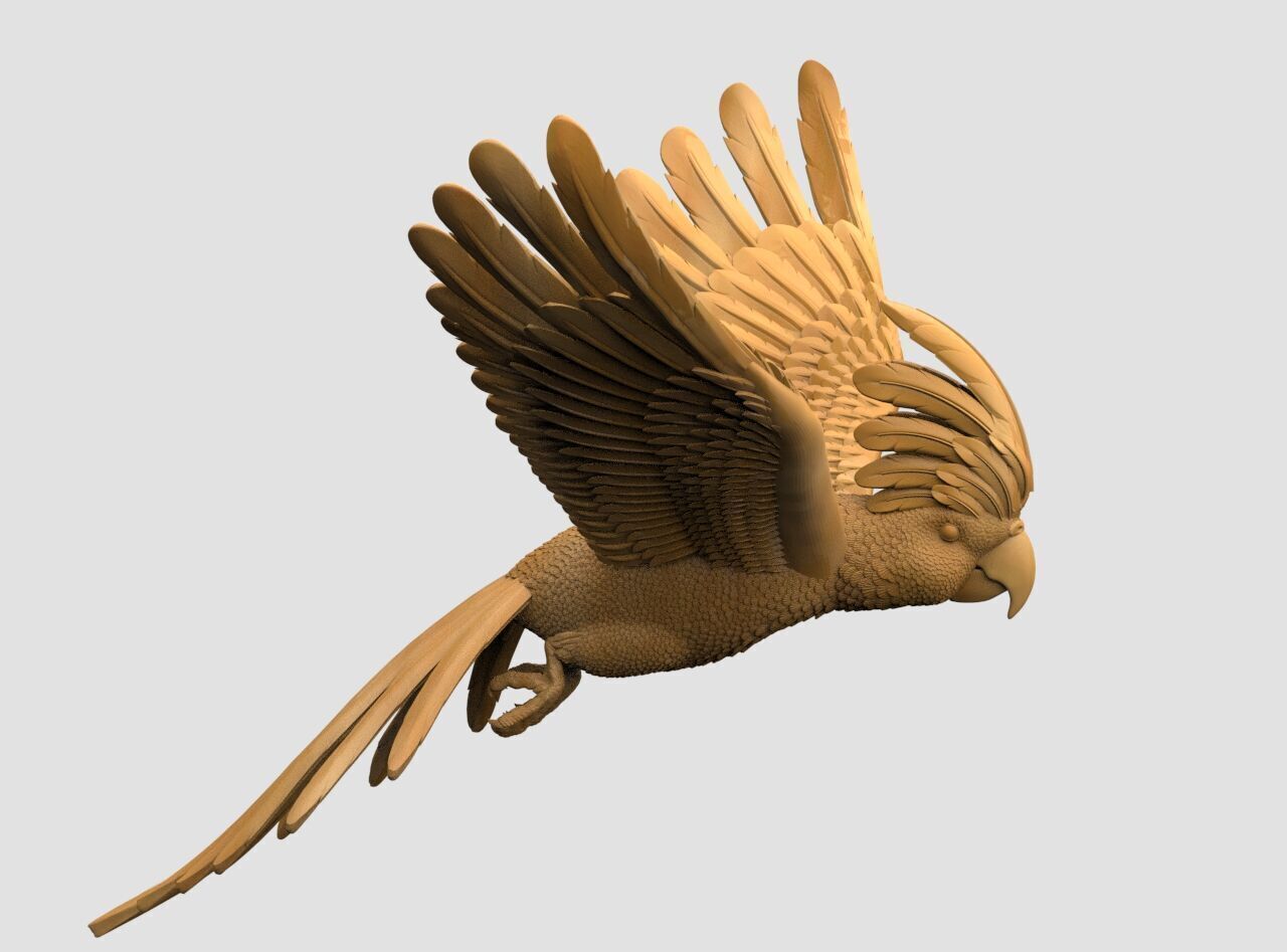 parrot sculpture 3D print model_28