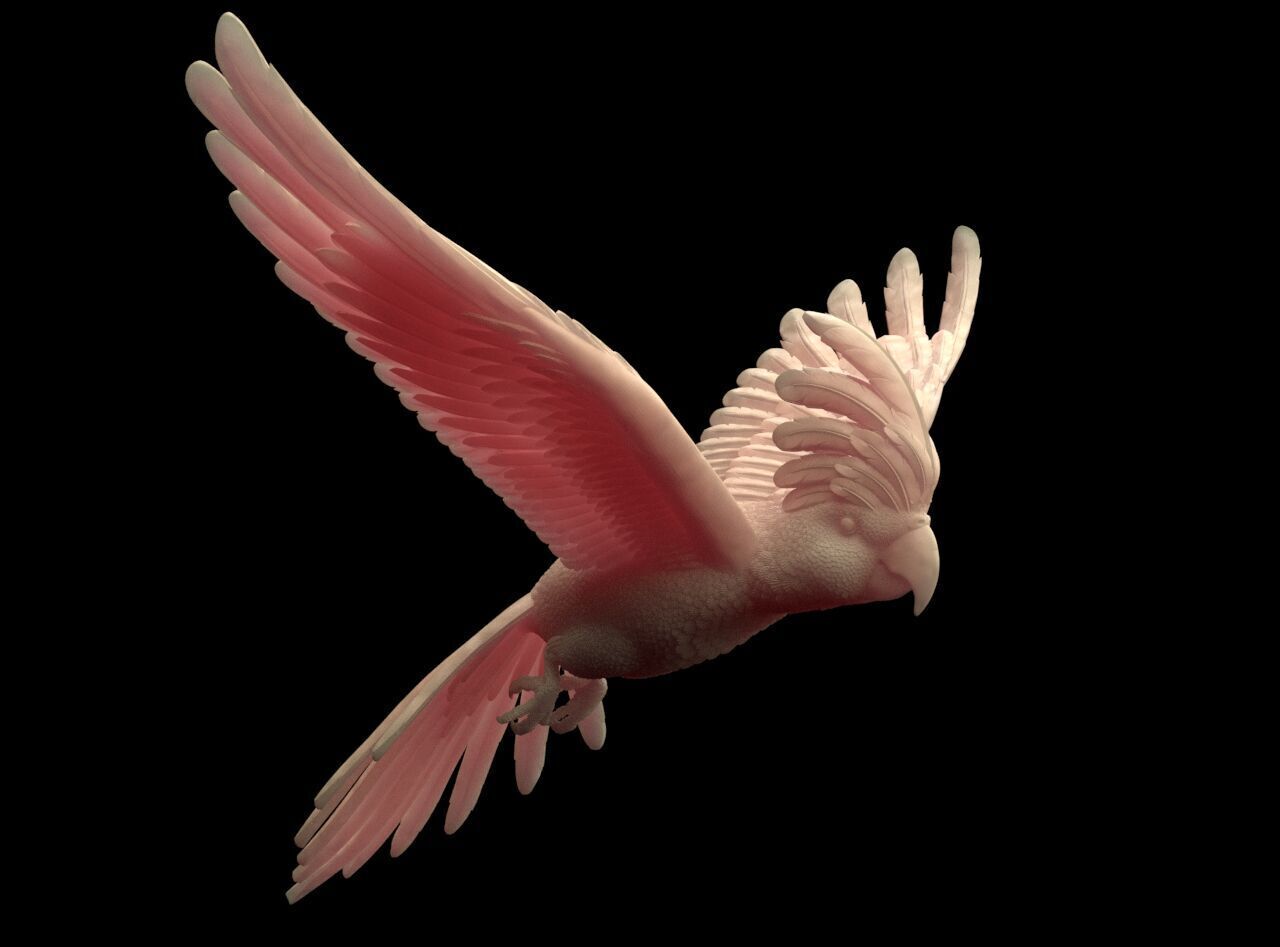 parrot sculpture 3D print model_27