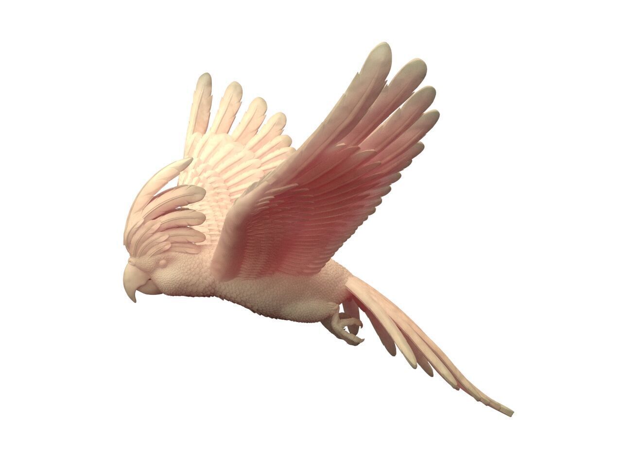 parrot sculpture 3D print model_17