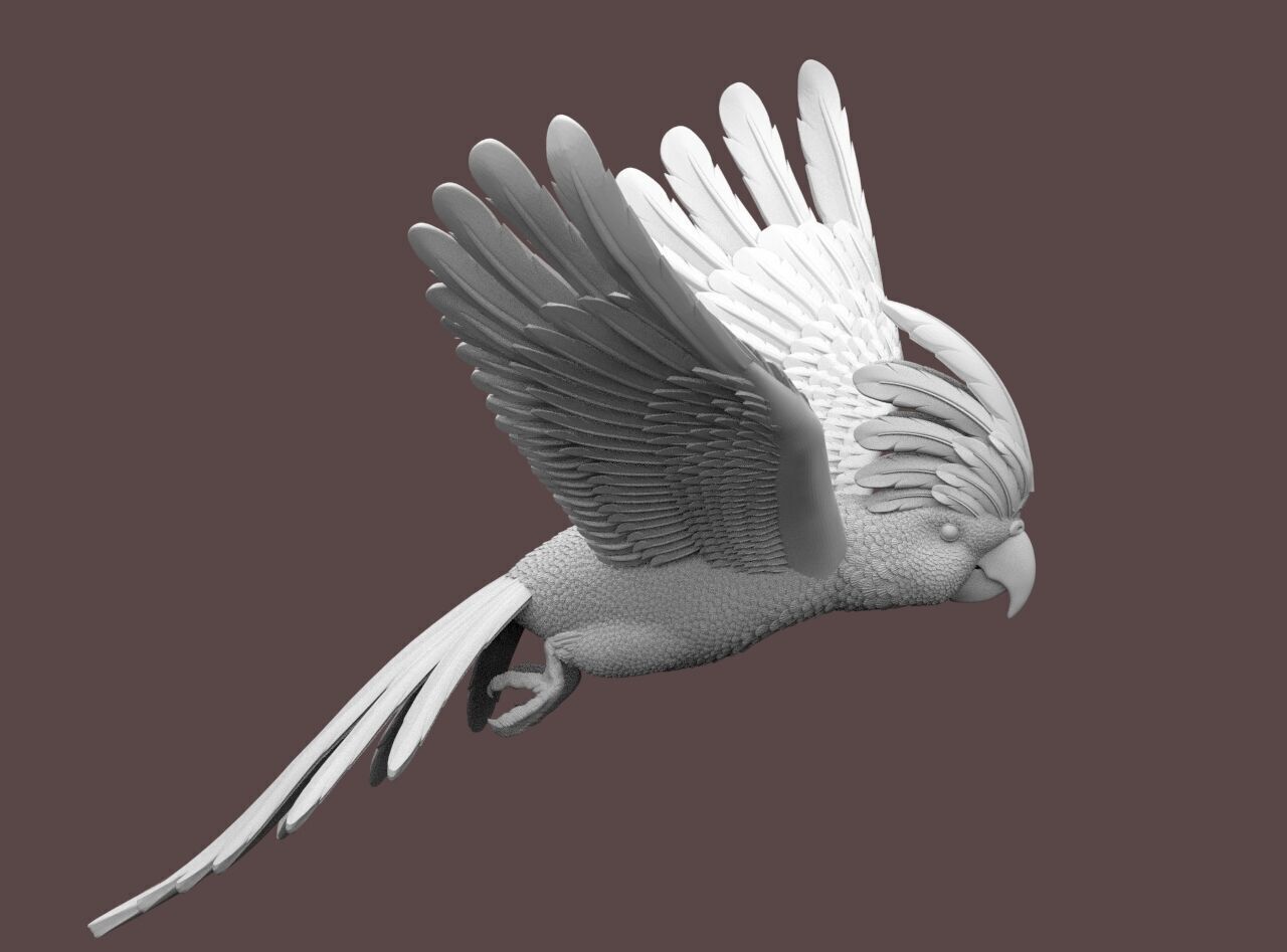 parrot sculpture 3D print model_9