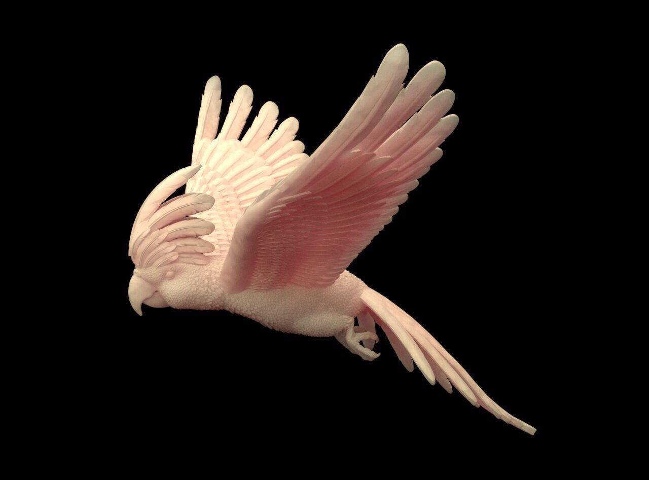 parrot sculpture 3D print model_25