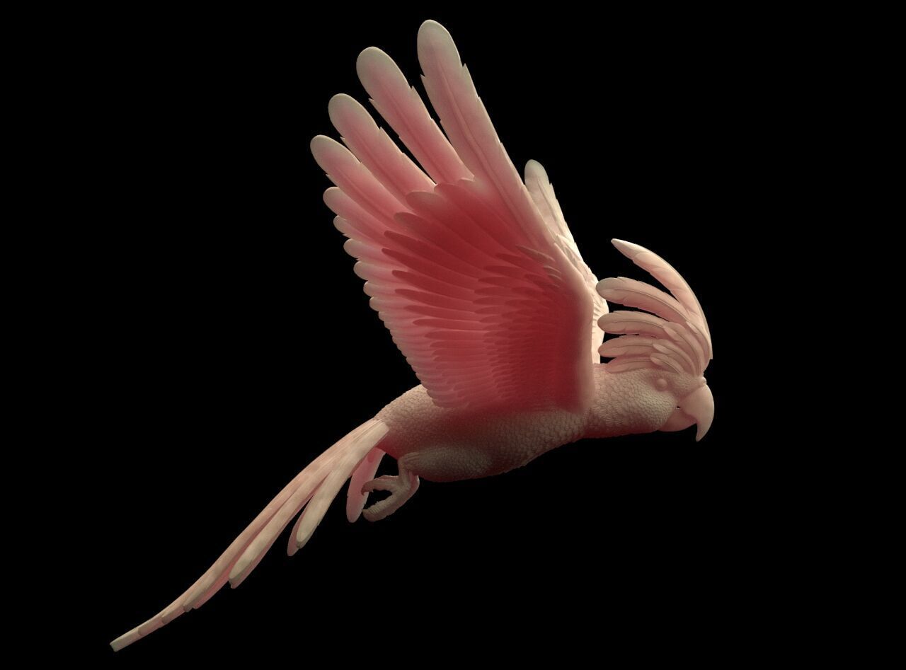 parrot sculpture 3D print model_21