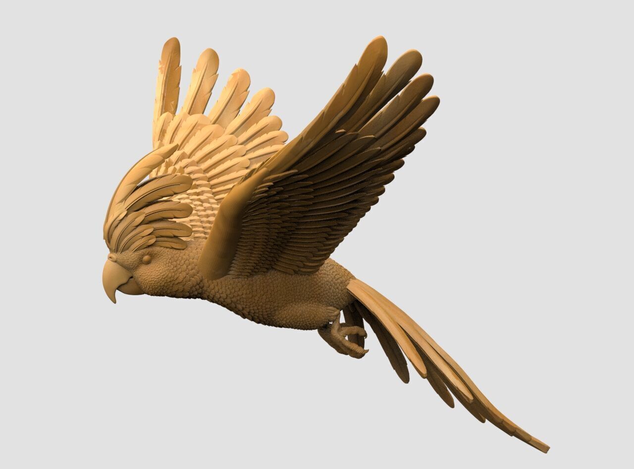 parrot sculpture 3D print model_20