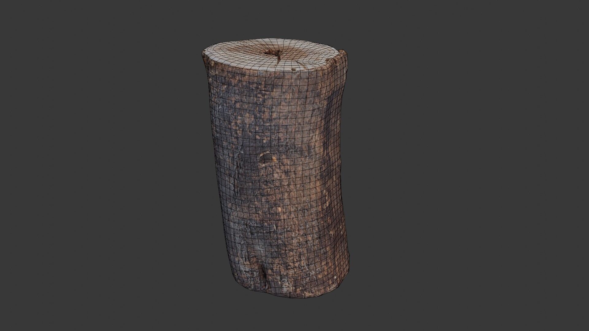 Tree Log Scan Low-poly 3D model_2