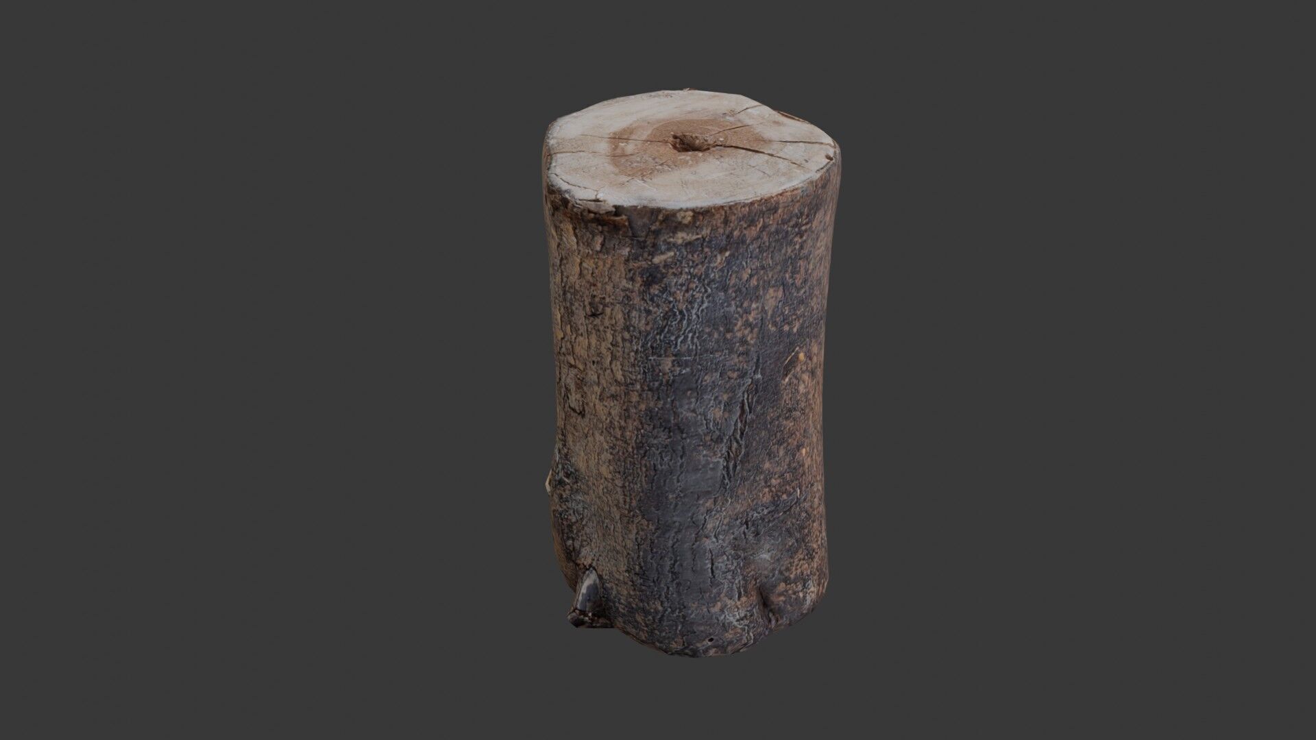 Tree Log Scan Low-poly 3D model_4
