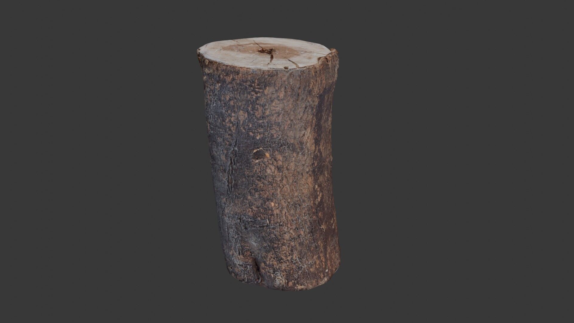 Tree Log Scan Low-poly 3D model_1