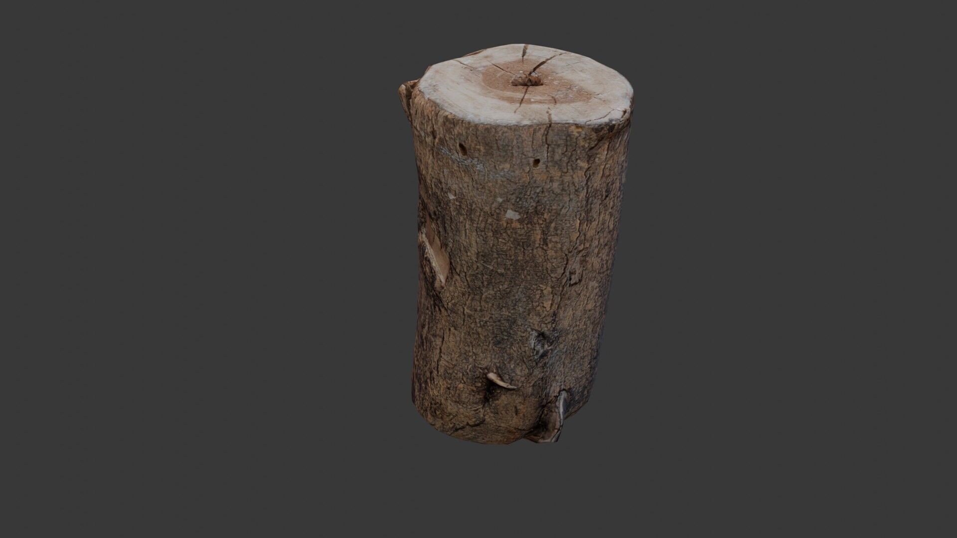 Tree Log Scan Low-poly 3D model_5