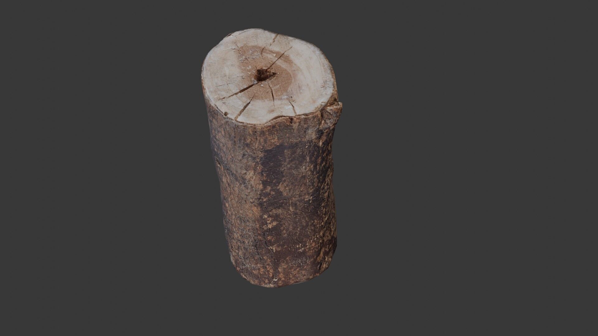 Tree Log Scan Low-poly 3D model_7
