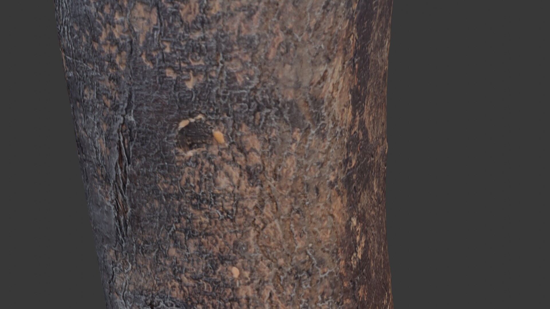 Tree Log Scan Low-poly 3D model_3