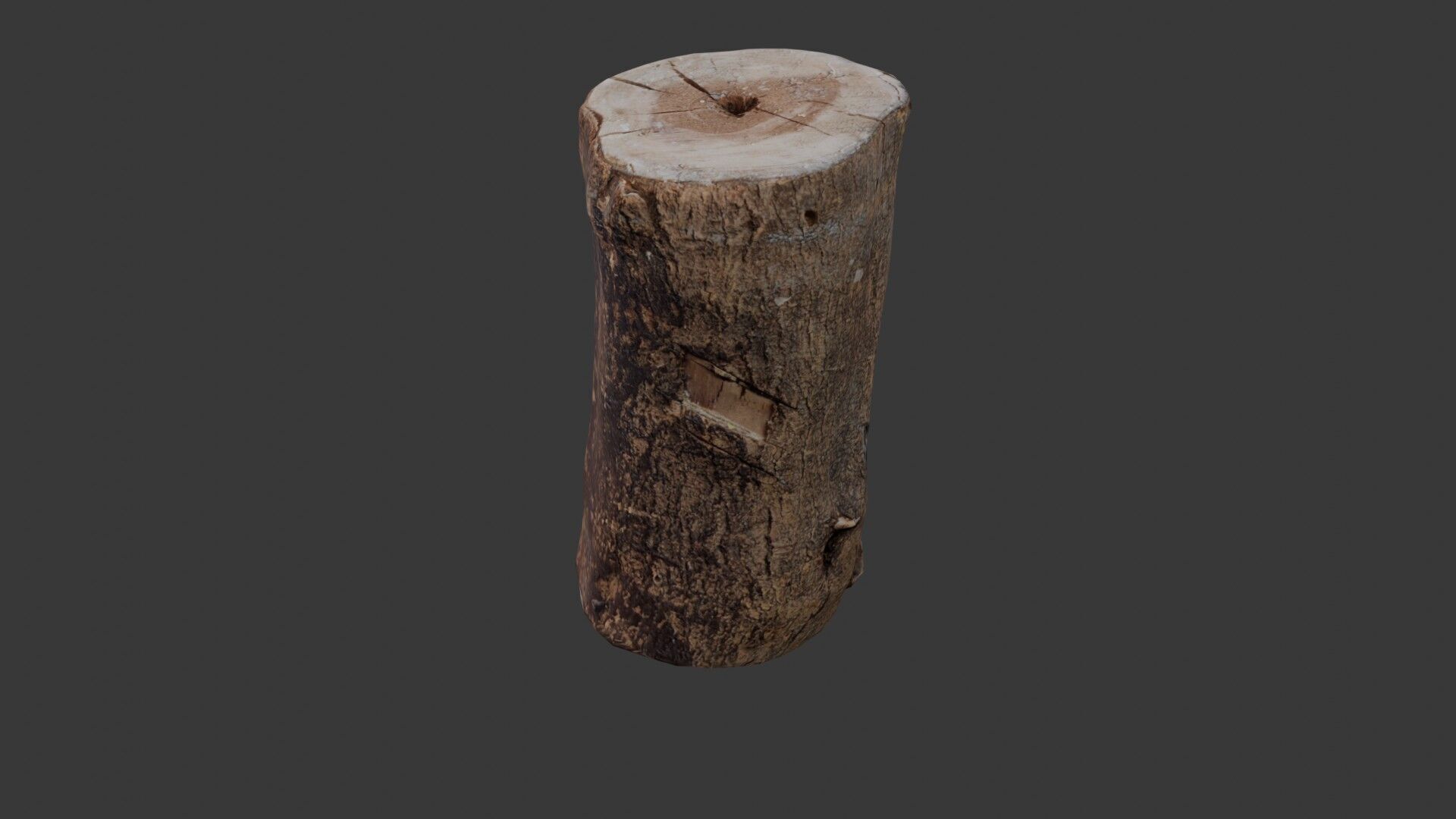 Tree Log Scan Low-poly 3D model_6