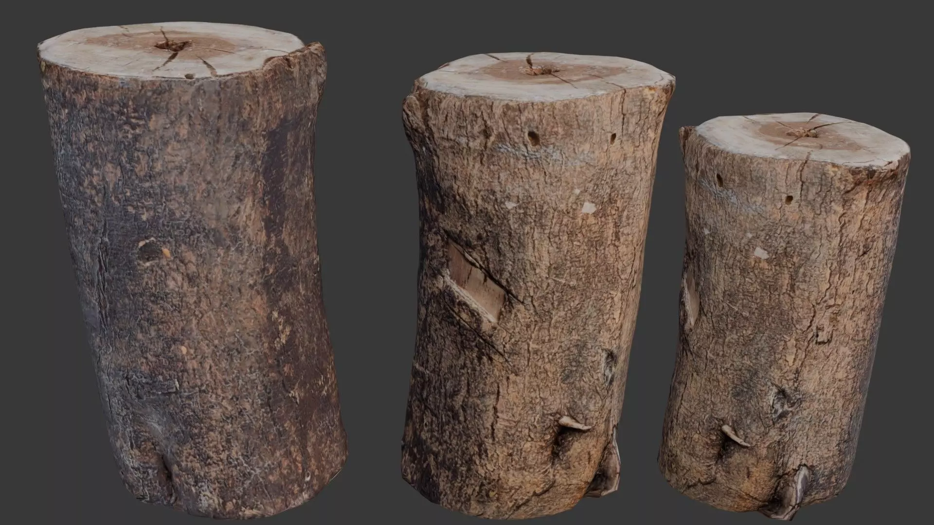 Tree Log Scan Low-poly 3D model_0