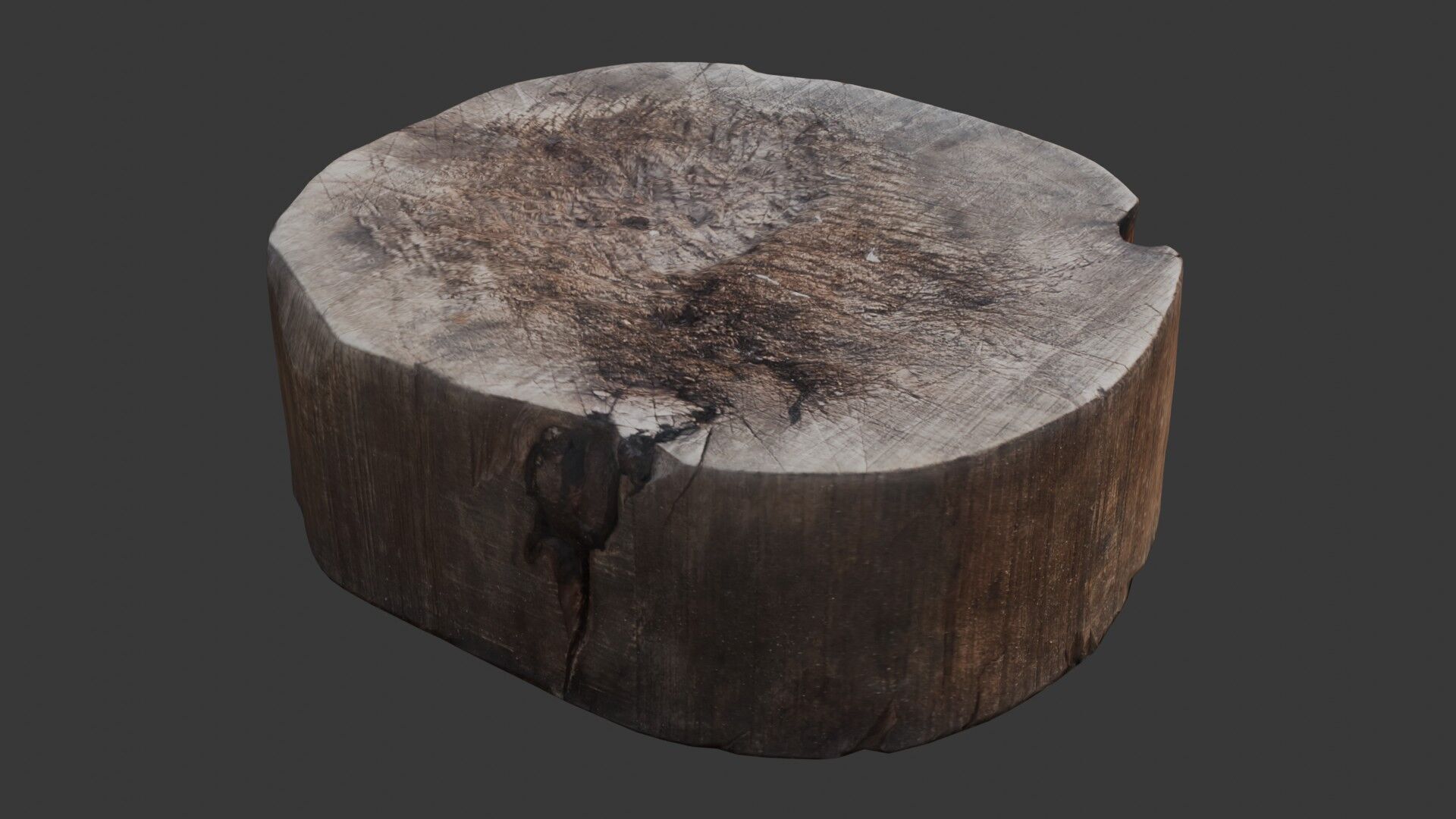 Tree Stump Scan Low-poly 3D model_5