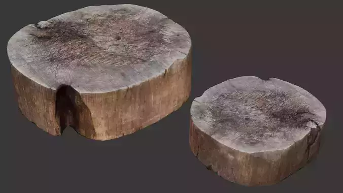 Tree Stump Scan